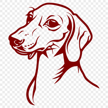 A vector illustration of a friendly-looking Dachshund dog with its head held high.