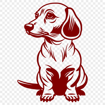 A full-body illustration of a sitting Dachshund dog.