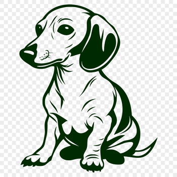 An illustration of a seated dachshund dog from the front.