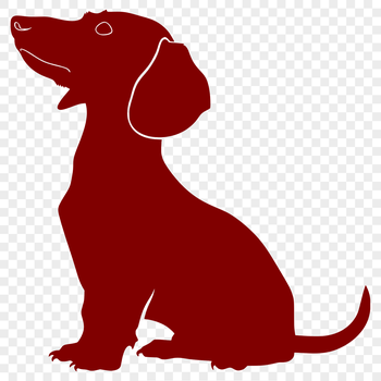 A full-body illustration of a sitting dachshund dog in vector format.