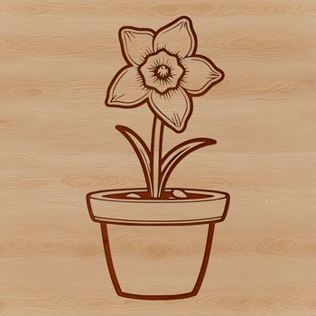 A bright yellow daffodil plant with green leaves and stem, set against a simple white background.