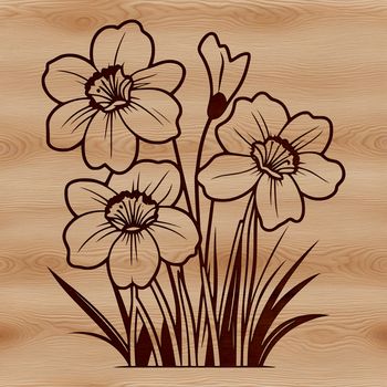 An isolated illustration of a daffodil plant in bloom featuring three flowers on a stalk with green leaves.