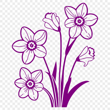Close-up illustration of a daffodil flower with trumpet-shaped blooms.