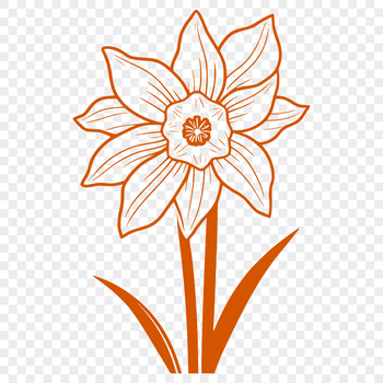 A simple illustration of a daffodil flower with yellow trumpet-shaped blooms.