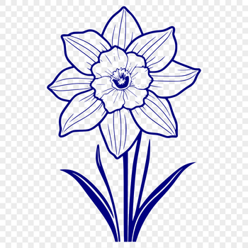 A colorful vector illustration of a single daffodil flower in bloom.