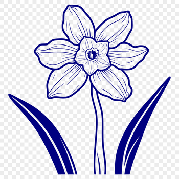 Illustrative daffodil flower with yellow trumpet-shaped blooms and green leaves, ideal for digital design projects.