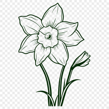 A stylized illustration of a daffodil flower with a yellow trumpet-shaped center and green leaves.