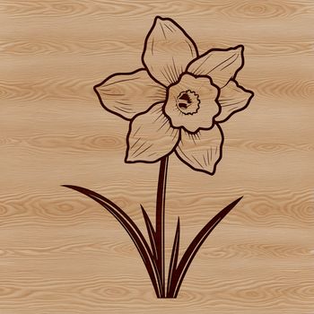 An isolated vector design featuring a single daffodil plant in a simple composition.
