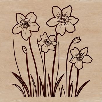A single daffodil flower with white petals and yellow center, illustration of a natural plant element.
