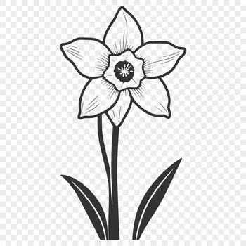 Illustration of a single daffodil flower in vector format.