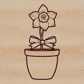 Illustrative vector drawing of a daffodil plant in a flower pot.