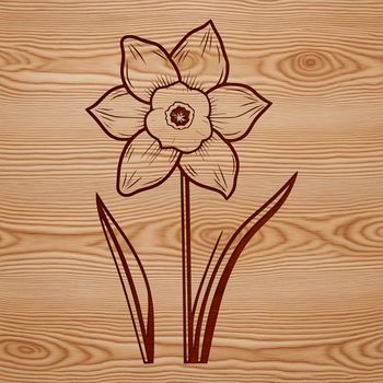 A detailed illustration of a single daffodil flower, highlighting its trumpet-shaped petals and yellow center.