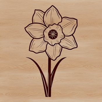 A stylized illustration of a daffodil flower in a simple, elegant design.