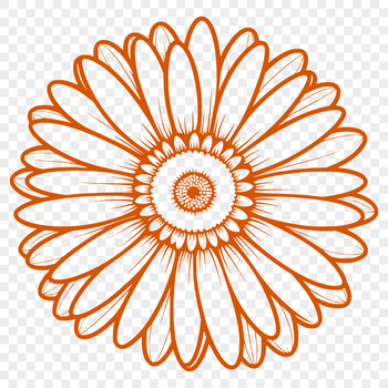A stylized illustration of a daisy flower, designed as vector art for digital use.