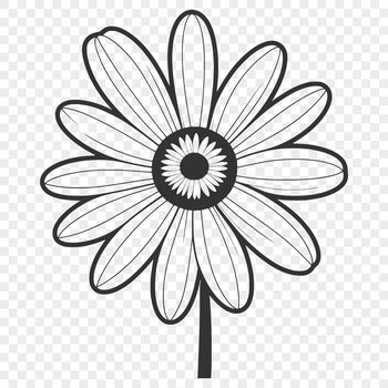 A detailed illustration of a daisy flower, suitable for vector design and printing.