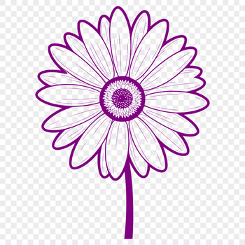 A high-quality SVG illustration of a daisy flower with detailed petals and center.