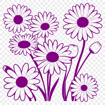 An isolated graphic representation of a single daisy bloom, created as a scalable vector graphic.
