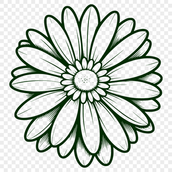A colorful illustration of a daisy flower, suitable for vector art and design projects.