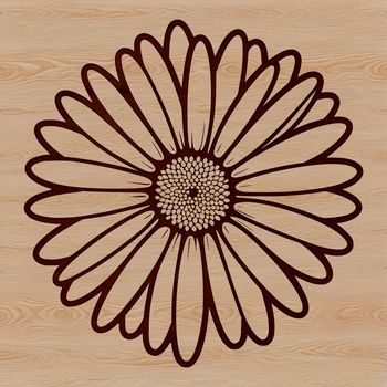 A detailed illustration of a daisy flower in vector format, suitable for various design applications.