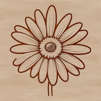 High-resolution daisy clip art designed with precise lines and curves for digital use.