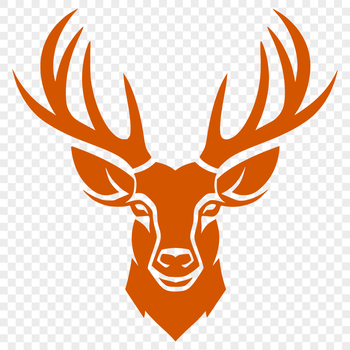 A detailed illustration of a deer's head with vector lines.