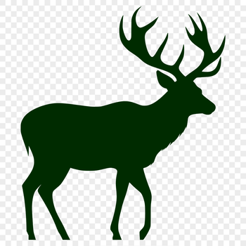 Artistic Deer - Animal PNG