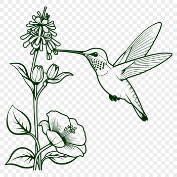 A colorful hummingbird perched on a floral branch, illustrated in vector format.