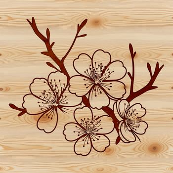 A stylized illustration of a single cherry blossom in full bloom with delicate petals.