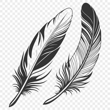 A single white bird's feather with detailed texture and structure, created as a scalable vector graphic (SVG) design.