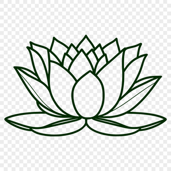 Illustration of the lotus flower, a symbol with significant religious importance.