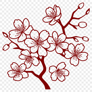 A detailed illustration of a single cherry blossom with delicate petals and a prominent stem.