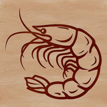 A detailed illustration of a single marine crustacean.