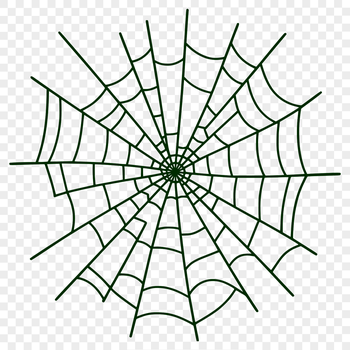 A stylized illustration of a spider web made from interconnected lines in various directions.