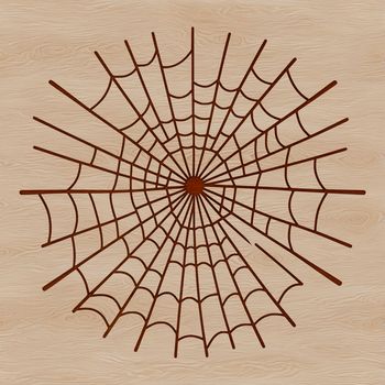 A high-quality vector illustration of a delicate spider web with intricate details.