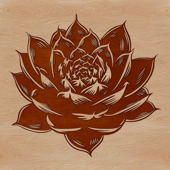Close-up vector art of a desert-dwelling succulent's unique foliage and stem structure.