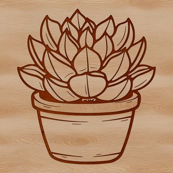 Vector illustration of a succulent plant with fleshy leaves.