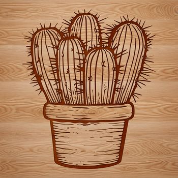 A detailed illustration of a desert plant with sharp spines, commonly found in arid regions.