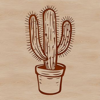 A desert plant with sharp spines and waxy stems, commonly found in arid regions.