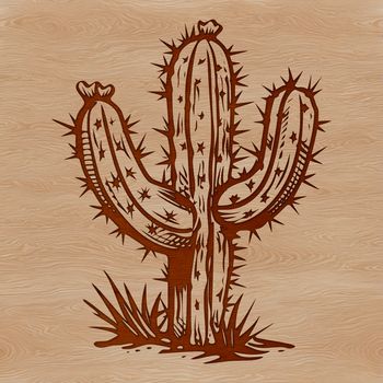 A detailed illustration of a cactus plant, ideal for gardening and nature designs.