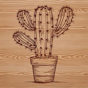 A stylized illustration of a cactus plant with sharp spines, suitable for digital designs and craft projects.