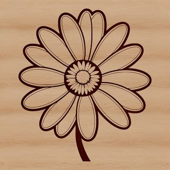 A high-quality illustration of a daisy flower in a vector format.