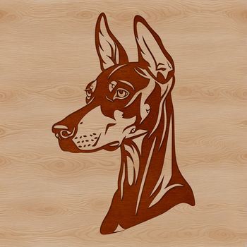 A vector illustration of a Doberman Pinscher's head, suitable for clip art and digital design.