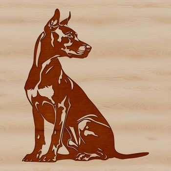 A sitting Doberman Pinscher breed dog, suitable for animal design projects.
