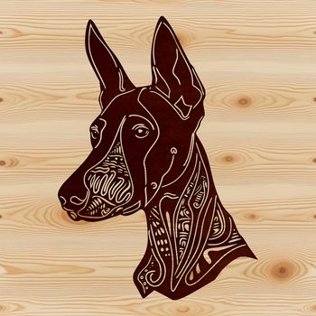 A high-quality illustration of a Doberman Pinscher's head and face, created in vector art.