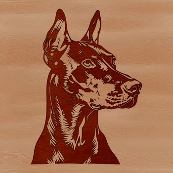 A Doberman Pinscher's head in a vector format.