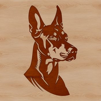 A close-up of a Doberman Pinscher's head with detailed facial features.
