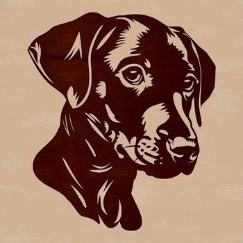 A high-quality illustration of a Doberman Pinscher's head, suitable for digital design projects.