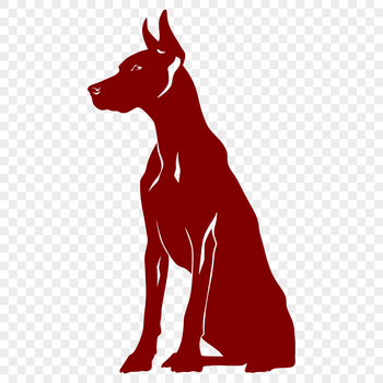 A detailed illustration of a Doberman Pinscher dog in full body pose, suitable for various designs.