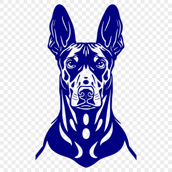 A detailed illustration of a Doberman Pinscher's head, created as vector art.