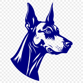 Vector graphic of a Doberman Pinscher breed dog, ideal for pet owners or graphic designers.